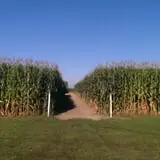 Slaughterhouse Adventure & Grand River Corn Maze photo