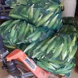 Carlton Farm Produce photo