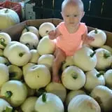 Carlton Farm Produce photo