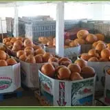 Carlton Farm Produce photo