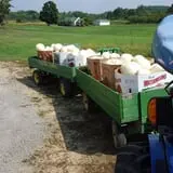 Carlton Farm Produce photo