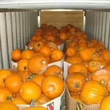 Carlton Farm Produce photo