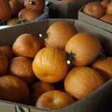 Carlton Farm Produce photo