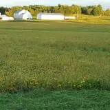 Carlton Farm Produce photo