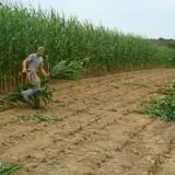 Carlton Farm Produce photo