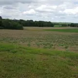 Carlton Farm Produce photo