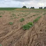 Carlton Farm Produce photo