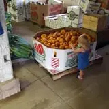 Carlton Farm Produce photo
