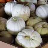 Carlton Farm Produce photo