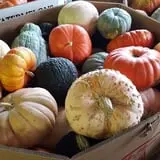 Carlton Farm Produce photo