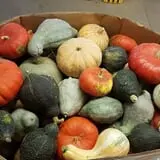 Carlton Farm Produce photo
