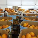Carlton Farm Produce photo