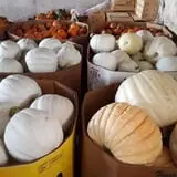 Carlton Farm Produce photo