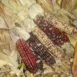 Carlton Farm Produce photo