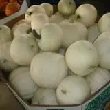 Carlton Farm Produce photo