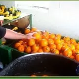 Carlton Farm Produce photo