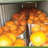 Carlton Farm Produce photo