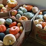 Carlton Farm Produce photo