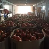 Carlton Farm Produce photo