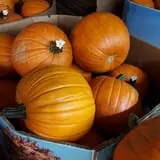 Carlton Farm Produce photo