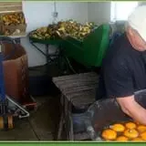 Carlton Farm Produce photo
