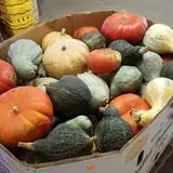 Carlton Farm Produce photo