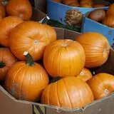 Carlton Farm Produce photo