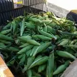 Carlton Farm Produce photo