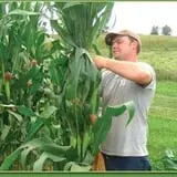 Carlton Farm Produce photo