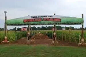 Bowles Farms Corn Maze & Pumpkin Farm
