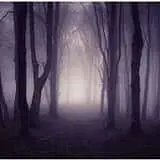 Graham Creek's Haunted Forest photo