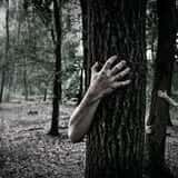 Graham Creek's Haunted Forest