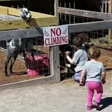 Breezy Hill Farm photo