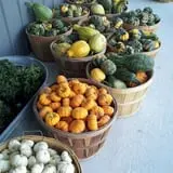 Breezy Hill Farm photo