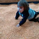 Breezy Hill Farm photo