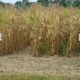 Breezy Hill Farm photo