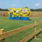 Breezy Hill Farm photo
