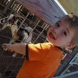 Breezy Hill Farm photo