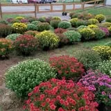 Breezy Hill Farm photo