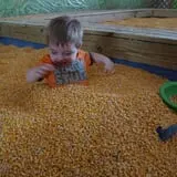 Breezy Hill Farm photo