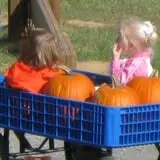 Breezy Hill Farm photo
