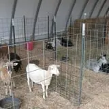 Breezy Hill Farm photo