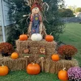 Breezy Hill Farm photo