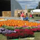 Breezy Hill Farm photo
