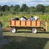 Breezy Hill Farm photo