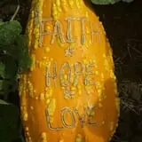 Breezy Hill Farm photo