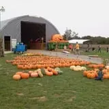 Breezy Hill Farm photo