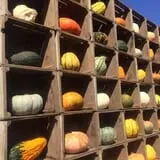 Butcher Family Farm photo