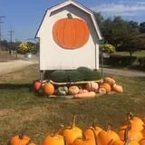 Butcher Family Farm photo