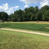 Butcher Family Farm photo